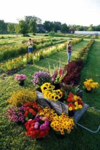 How We Found the Perfect Farm Real Estate Image